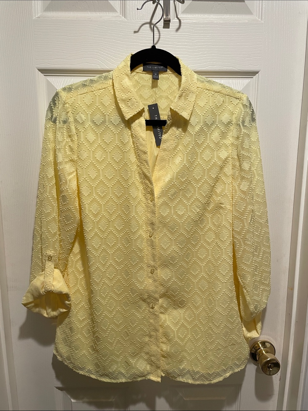 The Limited button down V neck clip dot blouse